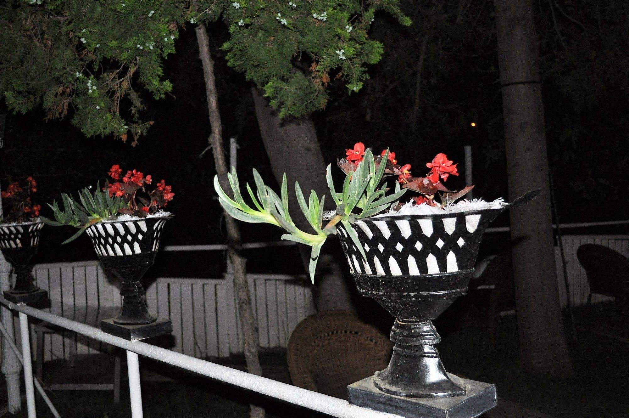 Syedra Princess Hotel Mahmutlar Bagian luar foto